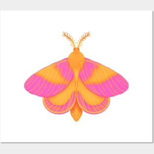 Cute Rosie Moth Painting Posters and Art